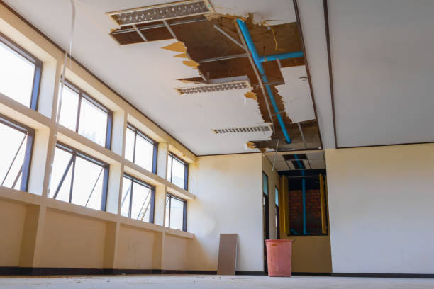 Best Flood restoration services  in Leesport, PA