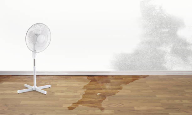 Best Water damage restoration insurance claims  in Leesport, PA