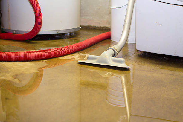 Best Professional water damage repair  in Leesport, PA
